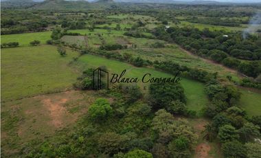 VENTA  DE FINCA EN AGUADULCE CON CERTIFICACION AGROTURISTICA