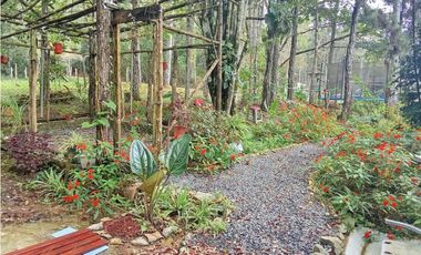 Venta de una Amplia Casa en Cerro Azul