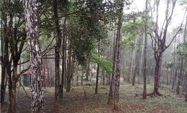 Venta de una Amplia Casa en Cerro Azul