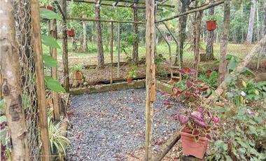 Venta de una Amplia Casa en Cerro Azul