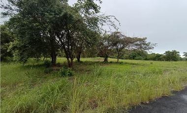 🌴 Oportunidad Única en el Club de Golf Coronado el mejor PRECIO x M2