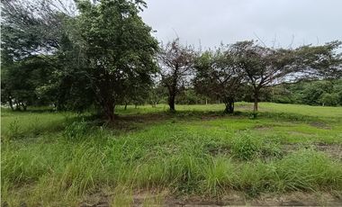 🌴 Oportunidad Única en el Club de Golf Coronado el mejor PRECIO x M2