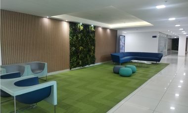 ALQUILER OFICINA AVENIDA BALBOA CP