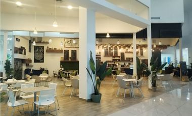 ALQUILER OFICINA AVENIDA BALBOA CP