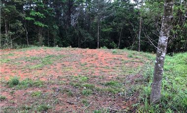 VENTA DE LOTE - TERRENO CERRO AZUL