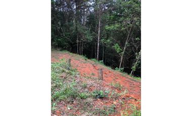 VENTA DE LOTE - TERRENO CERRO AZUL