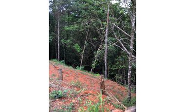 VENTA DE LOTE - TERRENO CERRO AZUL