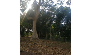VENTA FINCA AVICOLA