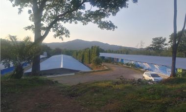 VENTA FINCA AVICOLA