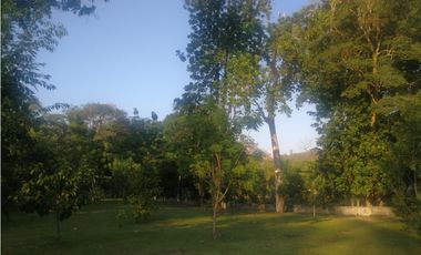 VENTA FINCA AVICOLA