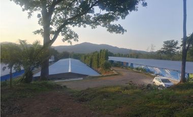 VENTA FINCA AVICOLA