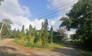 VENTA FINCA AVICOLA