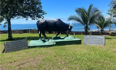VENTA FINCA EN PEDASI LOS SANTOS