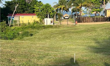 VENTA FINCA EN PEDASI LOS SANTOS