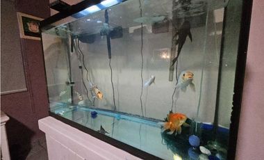 VENTA CASA COMERCIAL CALLE 50 (OF)