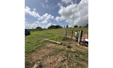 Terreno en venta en Hacienda Santa Domenica – La Chorrera