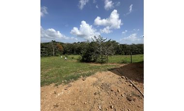 Terreno en venta en Hacienda Santa Domenica – La Chorrera