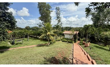 Hacienda Santa Domenica