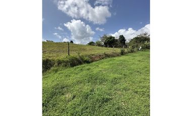 Lote Hacienda Santa Domenica - Venta