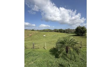 Lote Hacienda Santa Domenica - Venta