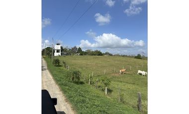 Lote Hacienda Santa Domenica - Venta