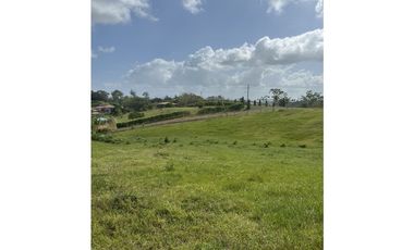 Lote Hacienda Santa Domenica - Venta