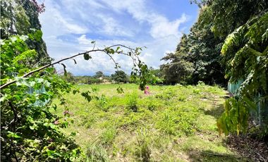 Se vende hermoso terreno en Coronado en Paseo Las Quintas