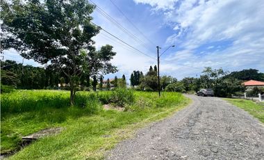 Se vende hermoso terreno en Coronado en Paseo Las Quintas