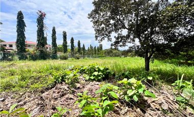 Se vende hermoso terreno en Coronado en Paseo Las Quintas