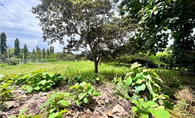 Se vende hermoso terreno en Coronado en Paseo Las Quintas