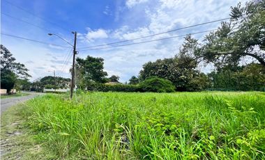 Se vende hermoso terreno en Coronado en Paseo Las Quintas