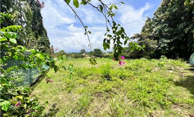 Se vende hermoso terreno en Coronado en Paseo Las Quintas