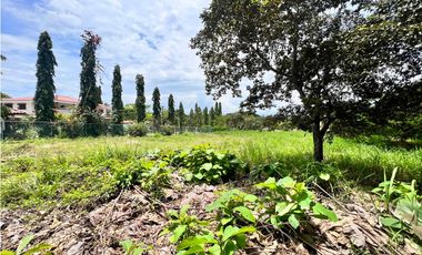 Se vende hermoso terreno en Coronado en Paseo Las Quintas