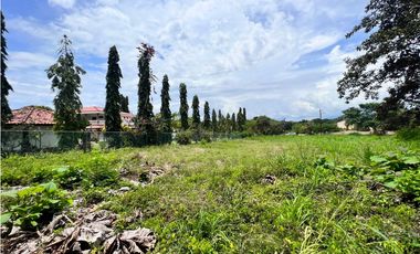 Se vende hermoso terreno en Coronado en Paseo Las Quintas