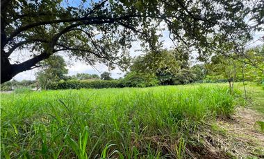 Se vende hermoso terreno en Coronado en Paseo Las Quintas