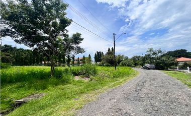 Se vende hermoso terreno en Coronado en Paseo Las Quintas