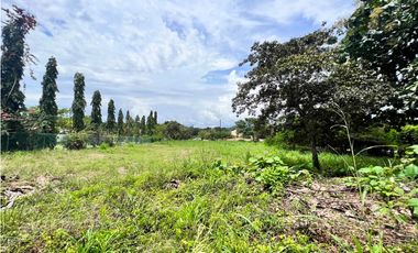 Se vende hermoso terreno en Coronado en Paseo Las Quintas