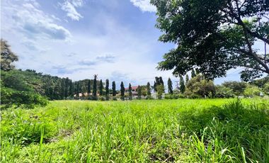 Se vende hermoso terreno en Coronado en Paseo Las Quintas