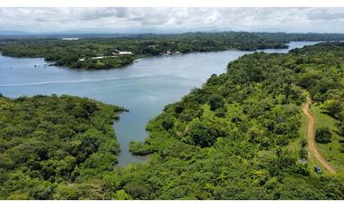 Finca Panorámica en Boca Brava