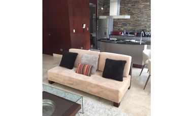 ALQUILO APARTAMENTO EN PUNTA PACIFICA, TIPO LOFT, 1 RECAMARA.