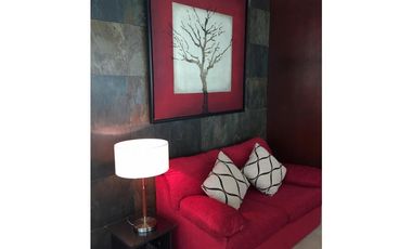 ALQUILO APARTAMENTO EN PUNTA PACIFICA, TIPO LOFT, 1 RECAMARA.