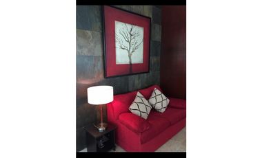 ALQUILO APARTAMENTO EN PUNTA PACIFICA, TIPO LOFT, 1 RECAMARA.