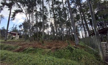 Venta de Terreno en Altos de Cerro Azul