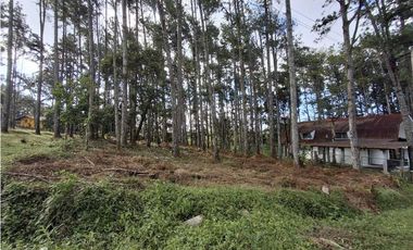 Venta de Terreno en Altos de Cerro Azul
