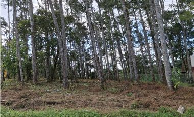 Venta de Terreno en Altos de Cerro Azul