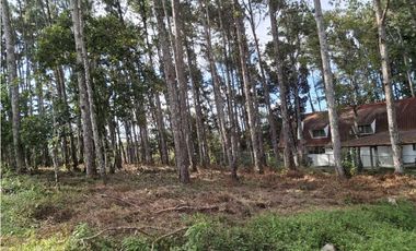 Venta de Terreno en Altos de Cerro Azul