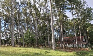 Venta de Terreno en Altos de Cerro Azul