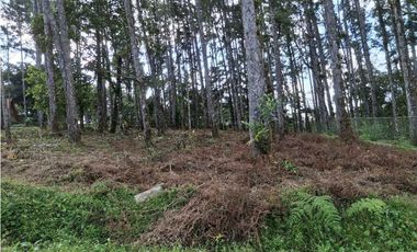 Venta de Terreno en Altos de Cerro Azul