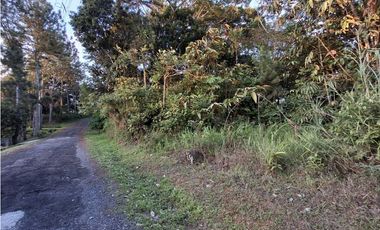Venta de Terreno en Cerro Azul