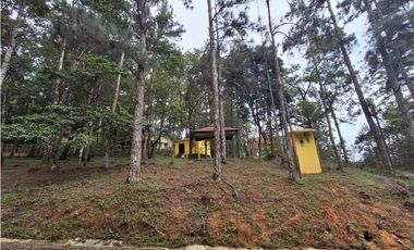 Venta Casa en Altos de Cerro Azul